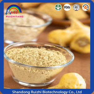 High Quality Extract Maca Herb Powder for Women Whole Sell